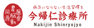 gnav-nakijin-ns-4_header_116.png